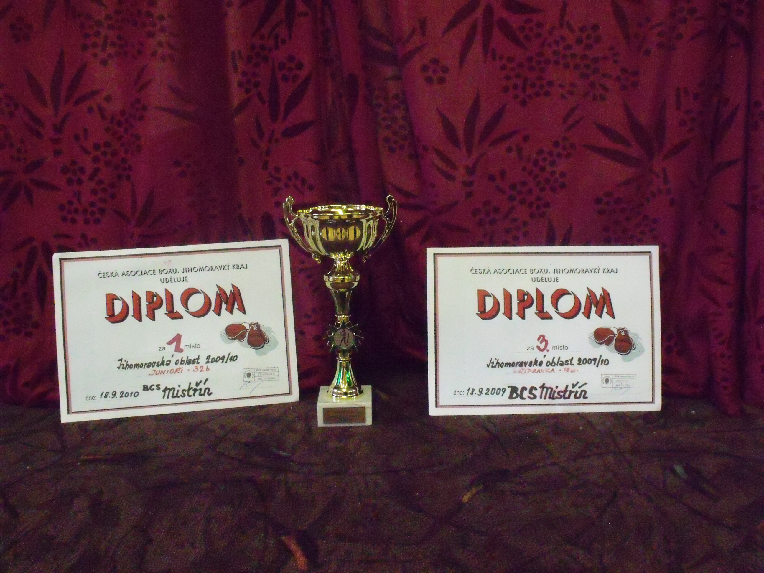 diplomy 2010.jpg